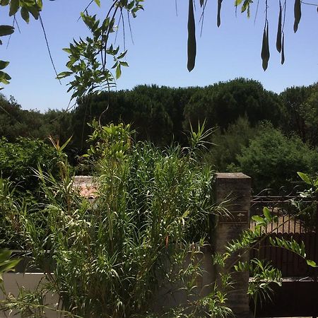 Maison D'Elie Saint-Tropez Exterior foto
