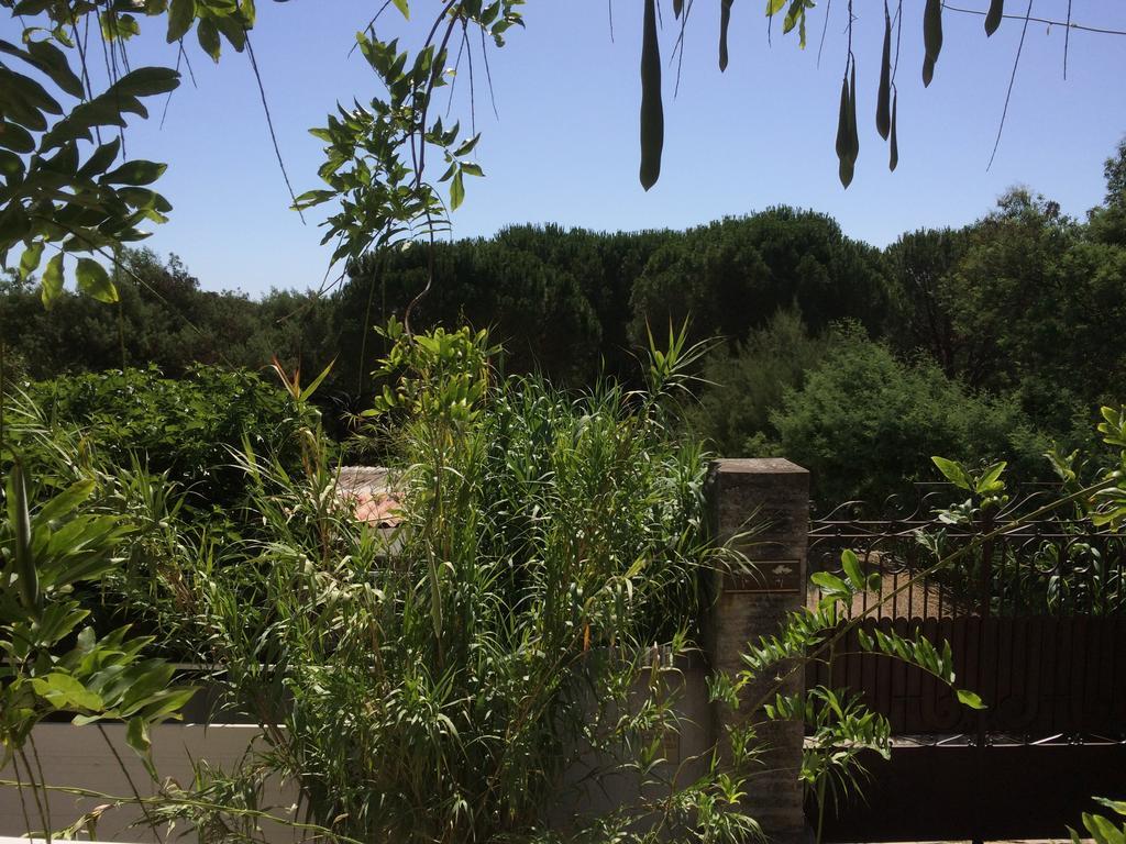 Maison D'Elie Saint-Tropez Exterior foto